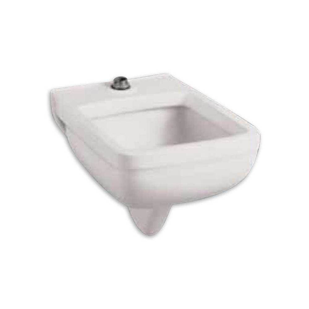 Henry Kitchen and BathAmerican StandardStainless Steel Rim Guard (Side) for Floor-Mount Clinic Service Sink
