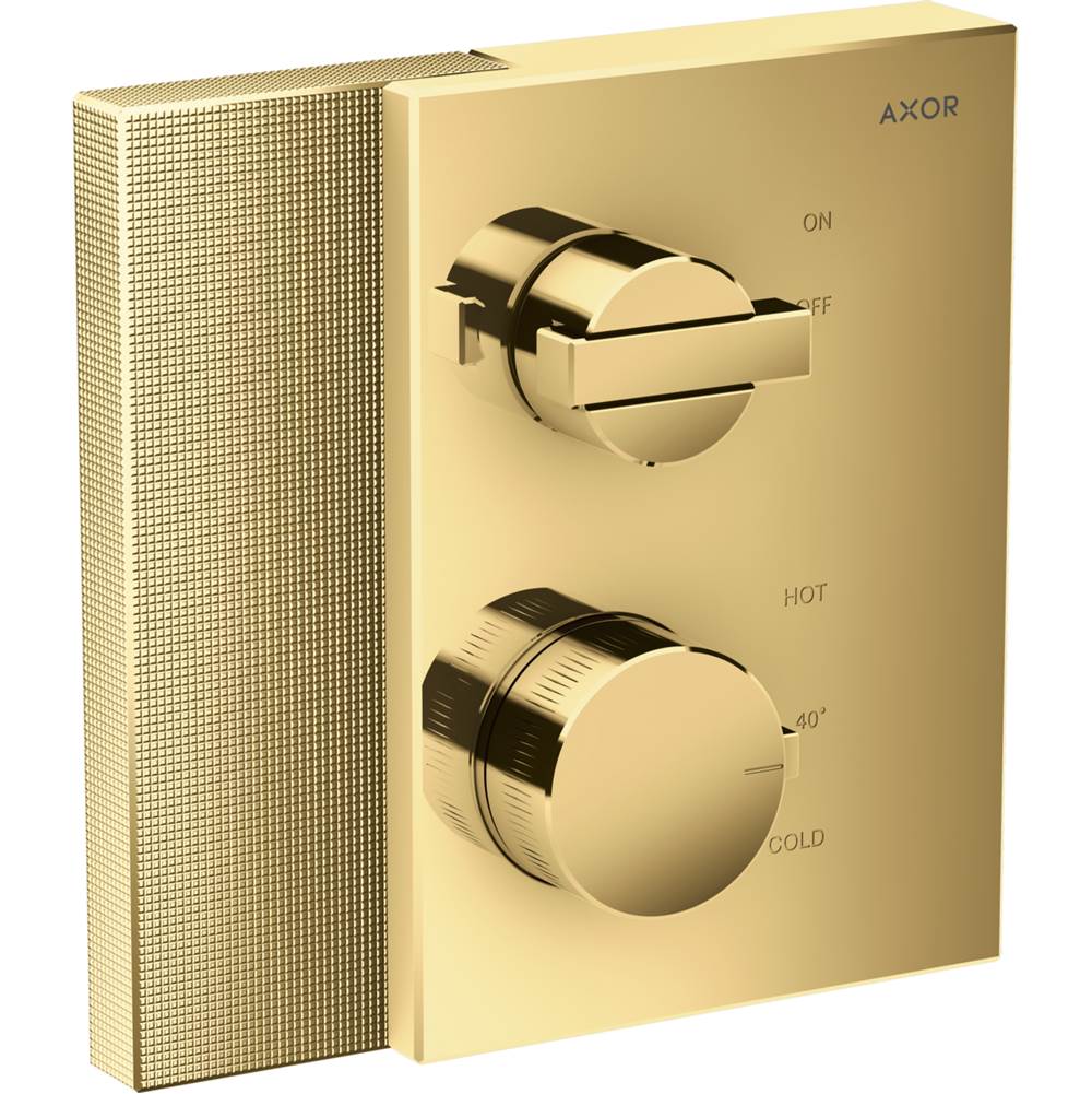 Axor Thermostatic Valve Trim Shower Faucet Trims item 46751991
