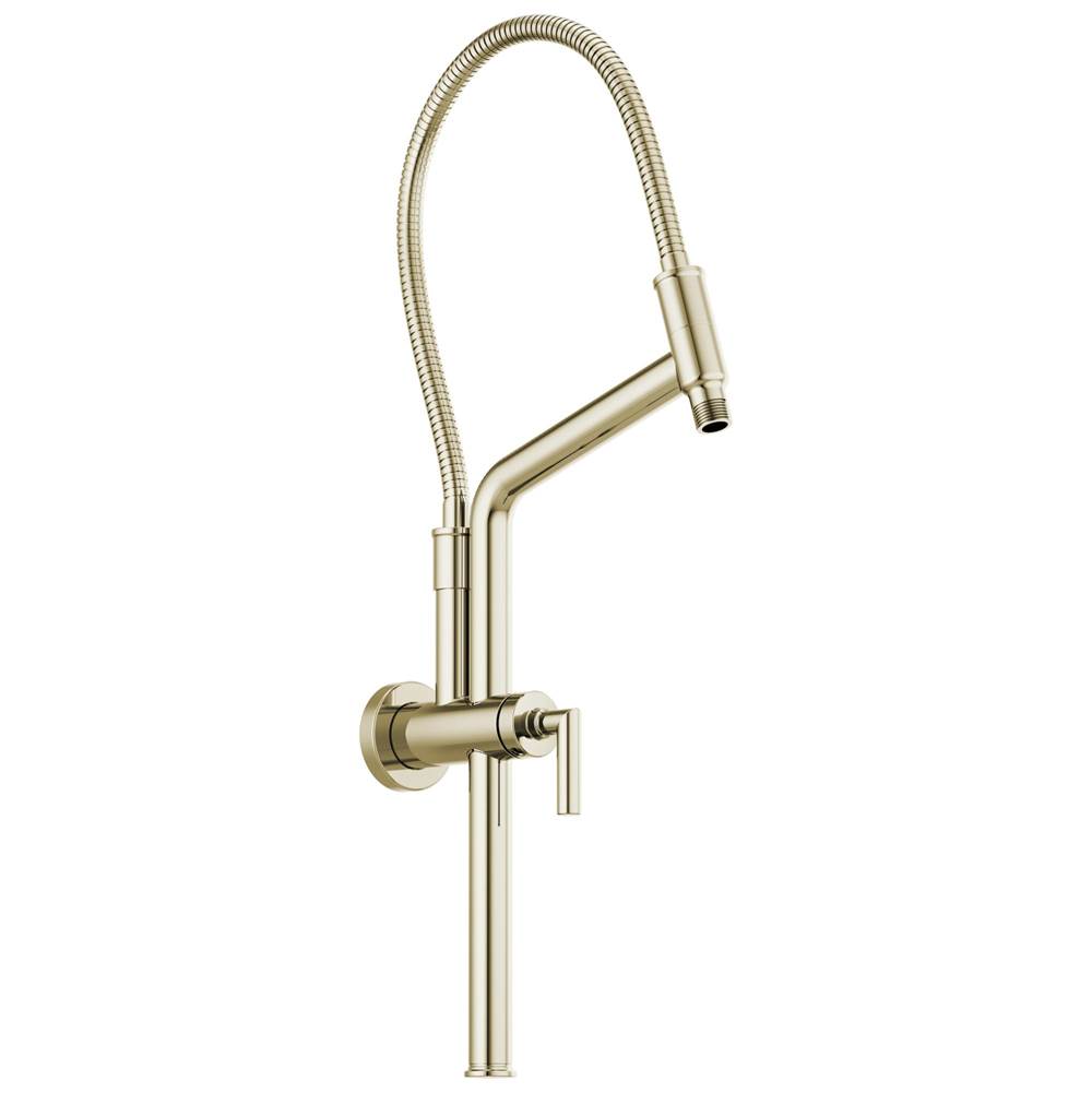 Henry Kitchen and BathBrizoUniversal Showering 10 7/16'' Linear Round Slide Bar Shower Arm And Flange