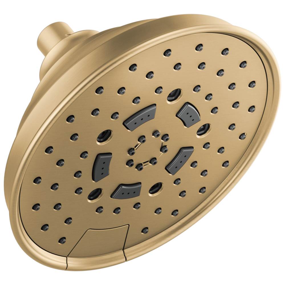 Brizo  Shower Heads item 87495-GL-2.5