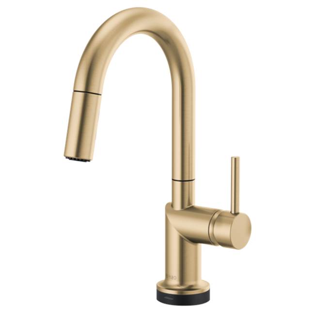Brizo  Bar Sink Faucets item 64975LF-GLLHP