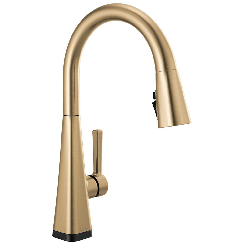 Henry Kitchen and BathDelta FaucetLenta™ Single-Handle Pull-Down Kitchen Faucet with Touch2O® Technology