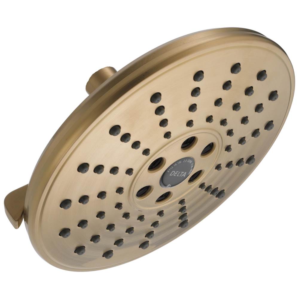 Delta Faucet  Shower Heads item 52688-CZ-PR
