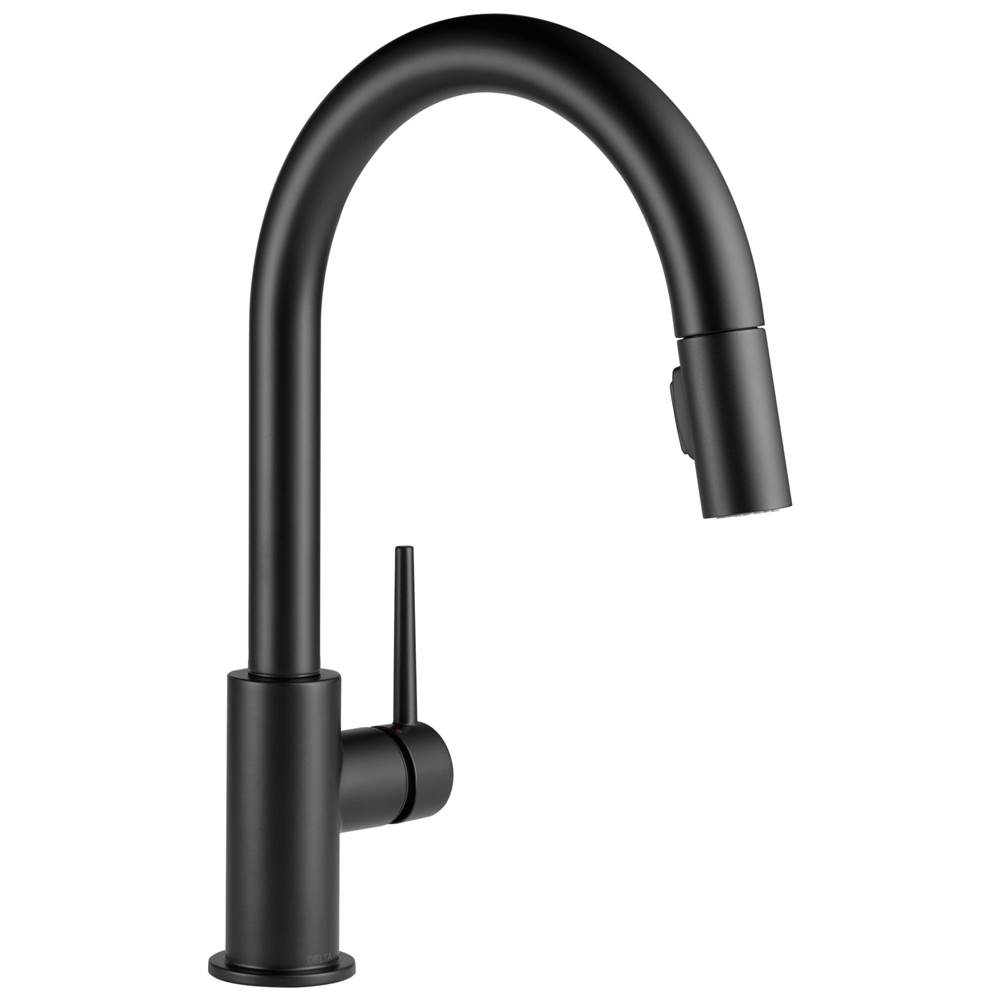 Delta Faucet  Kitchen Faucets item 9159-BL-DST