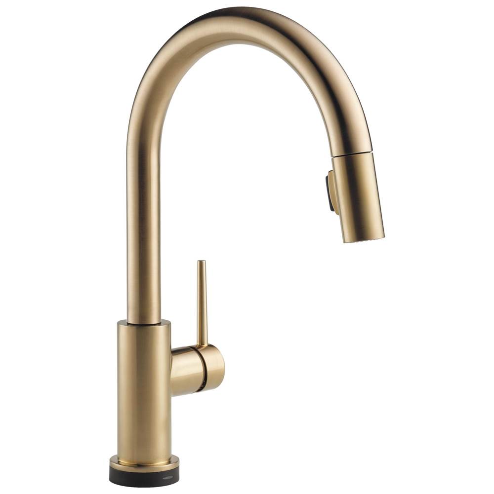 Delta Faucet Pull Down Faucet Kitchen Faucets item 9159TV-CZ-DST
