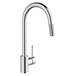 D X V - D35404300.100 - Pull Down Kitchen Faucets