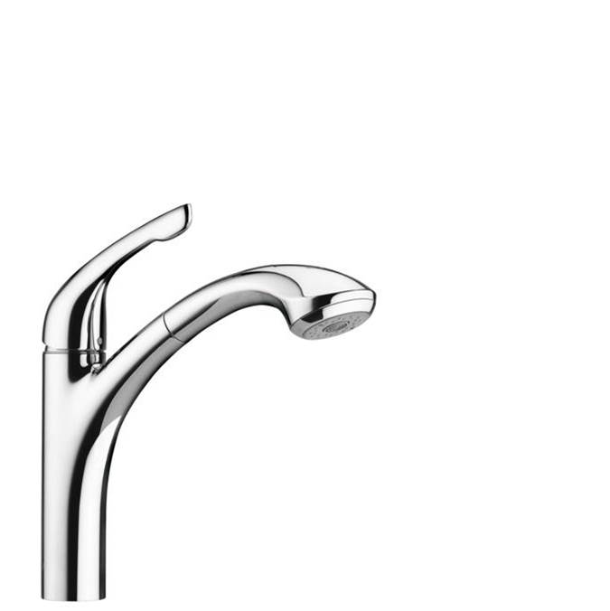Hansgrohe  Kitchen Faucets item 04076000