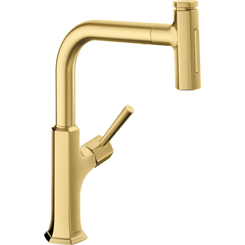 Hansgrohe Articulating Kitchen Faucets item 04855250