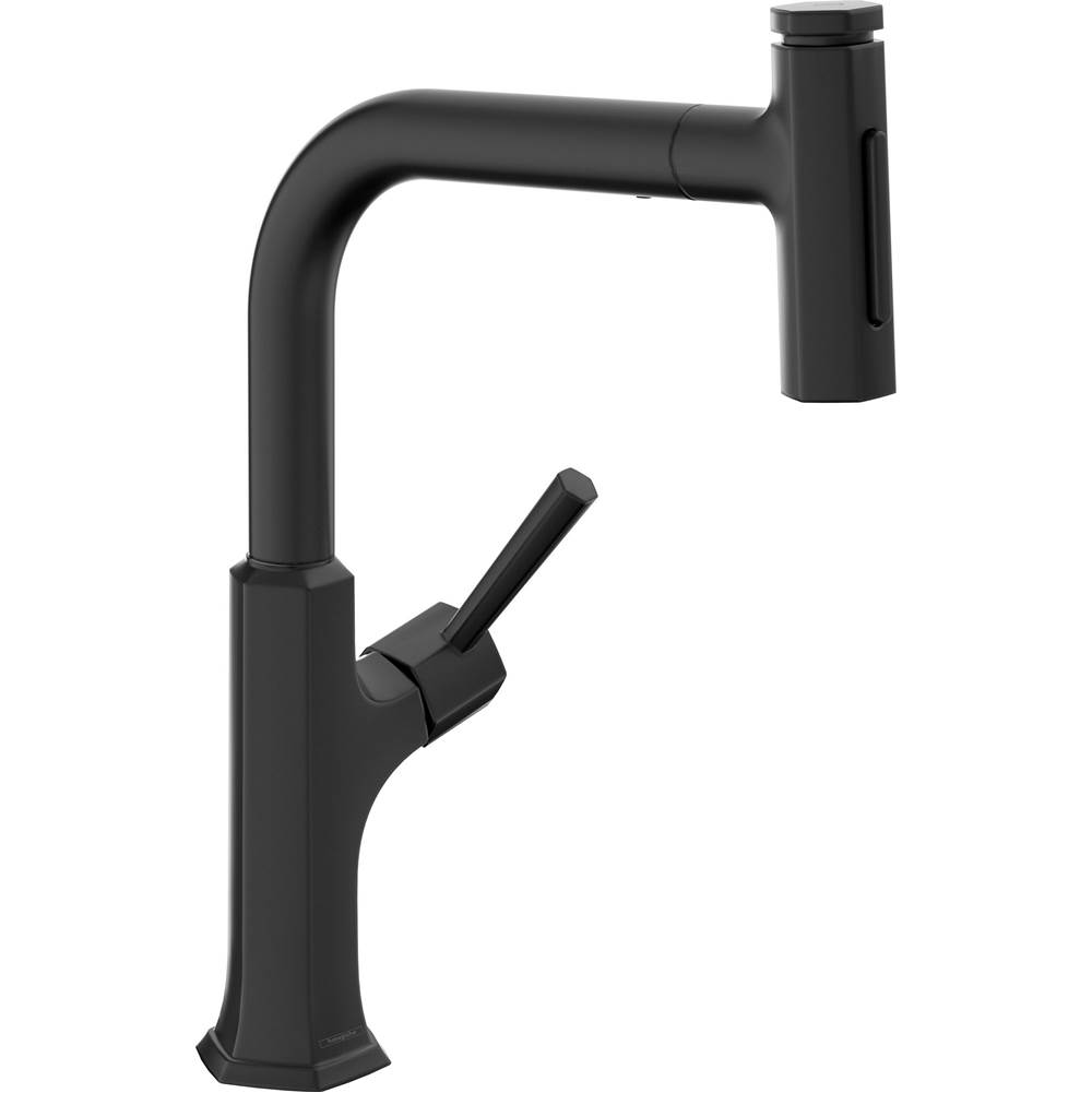 Hansgrohe Articulating Kitchen Faucets item 04828670