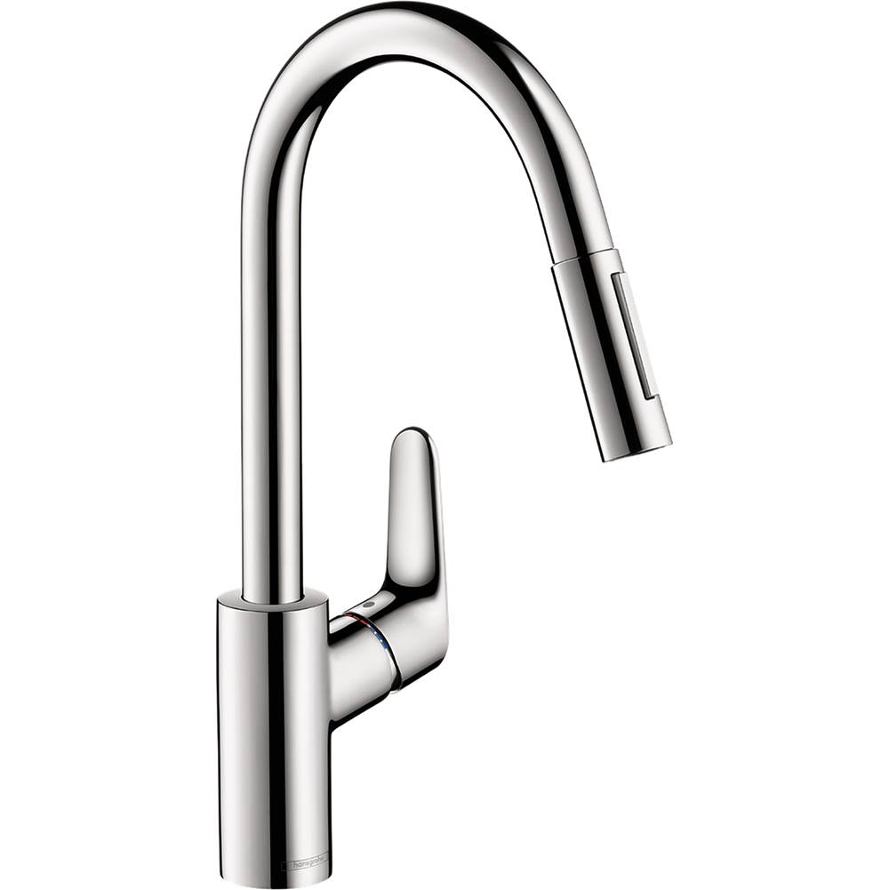 Hansgrohe  Kitchen Faucets item 04920000