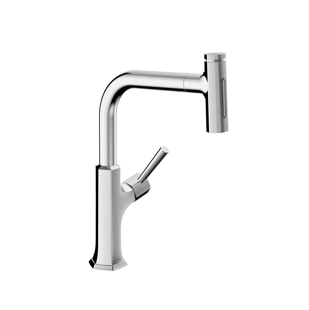 Hansgrohe Articulating Kitchen Faucets item 04855000
