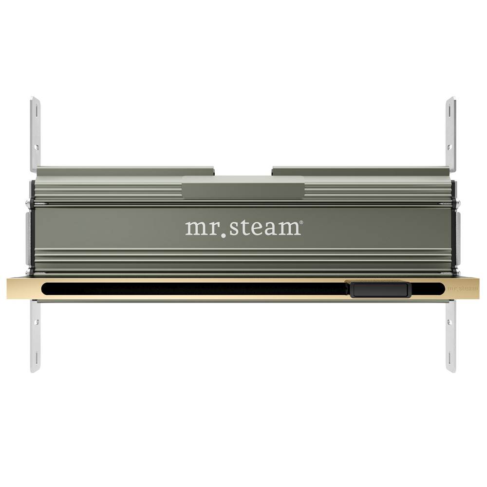 Henry Kitchen and BathMr. SteamLinear 16 in. W. Steamhead with AromaTherapy Reservoir in Polished Brass